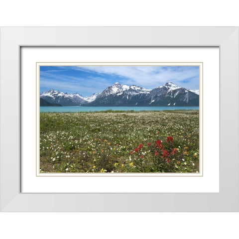 AK, Glacier Bay NP Strawberry and red paintbrush White Modern Wood Framed Art Print with Double Matting by Paulson, Don