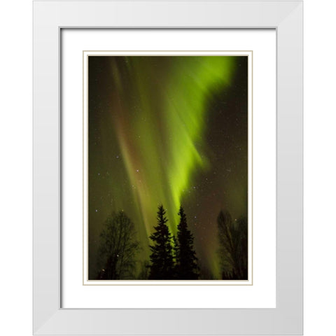 Alaska, Chena Hot Springs Aurora borealis White Modern Wood Framed Art Print with Double Matting by Illg, Cathy and Gordon