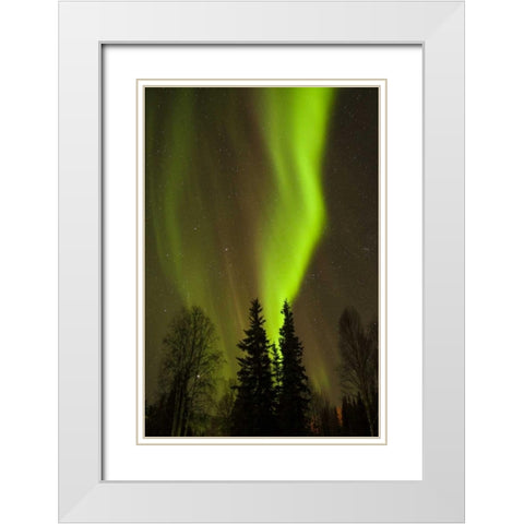 Alaska, Chena Hot Springs Aurora borealis White Modern Wood Framed Art Print with Double Matting by Illg, Cathy and Gordon