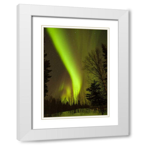 Alaska, Chena Hot Springs Aurora borealis White Modern Wood Framed Art Print with Double Matting by Illg, Cathy and Gordon