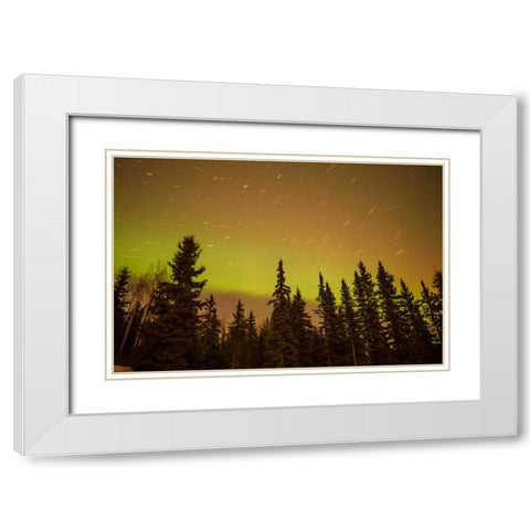 AK, Fairbanks Aurora borealis and star trails White Modern Wood Framed Art Print with Double Matting by Illg, Cathy and Gordon