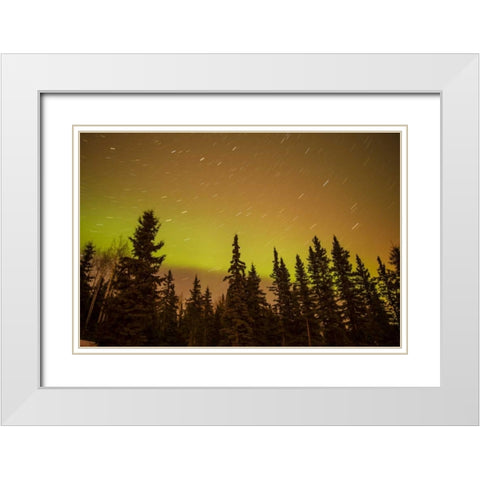 AK, Fairbanks Aurora borealis and star trails White Modern Wood Framed Art Print with Double Matting by Illg, Cathy and Gordon