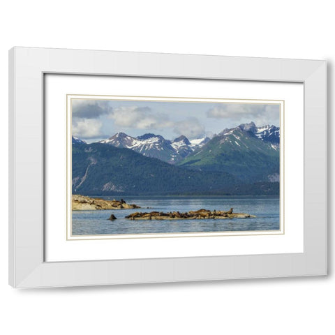 Alaska, Glacier Bay NP Stellars sea lions White Modern Wood Framed Art Print with Double Matting by Illg, Cathy and Gordon
