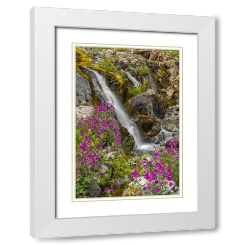 Alaska, Glacier Bay NP Fireweed and waterfall White Modern Wood Framed Art Print with Double Matting by Illg, Cathy and Gordon