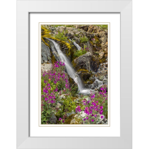 Alaska, Glacier Bay NP Fireweed and waterfall White Modern Wood Framed Art Print with Double Matting by Illg, Cathy and Gordon