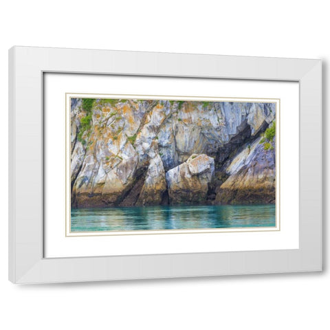 Alaska, Glacier Bay NP Cliff and seawater White Modern Wood Framed Art Print with Double Matting by Paulson, Don
