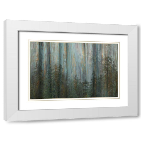 AK, Misty Fiords NM Abstract of trees and forest White Modern Wood Framed Art Print with Double Matting by Paulson, Don