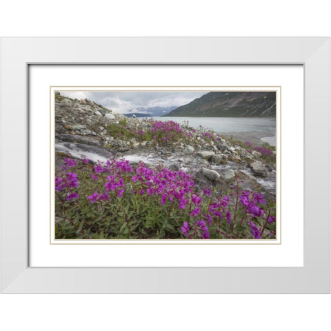 Alaska, Glacier Bay NP Small stream cascade White Modern Wood Framed Art Print with Double Matting by Paulson, Don
