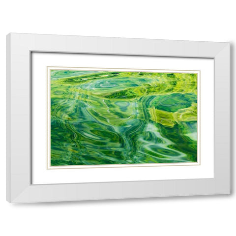 AK, Glacier Bay NP, Dundas Bay Abstract of water White Modern Wood Framed Art Print with Double Matting by Paulson, Don