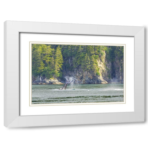 Alaska Humpback whale tail lobbing White Modern Wood Framed Art Print with Double Matting by Paulson, Don