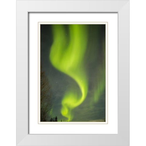 USA, Alaska Aurora borealis pattern White Modern Wood Framed Art Print with Double Matting by Illg, Cathy and Gordon