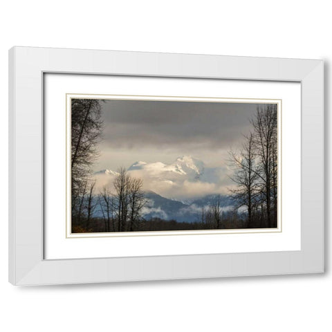 Alaska, Chilkat River Valley Snowy mountains White Modern Wood Framed Art Print with Double Matting by Illg, Cathy and Gordon