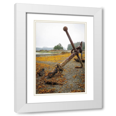 Alaska-Sitka Old anchors at ocean low tide  White Modern Wood Framed Art Print with Double Matting by Jaynes Gallery