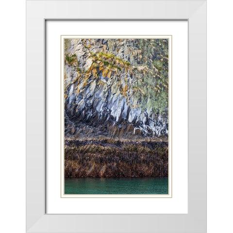 Alaska-Sitka Rocky cliffs of St Lazaria Island  White Modern Wood Framed Art Print with Double Matting by Jaynes Gallery