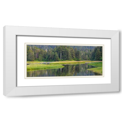 Alaska Panoramic of meadow at high tide in Tongass National Forest  White Modern Wood Framed Art Print with Double Matting by Jaynes Gallery
