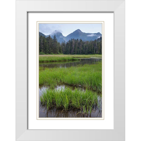 Alaska-Sitka Meadow at high tide in Tongass National Forest  White Modern Wood Framed Art Print with Double Matting by Jaynes Gallery