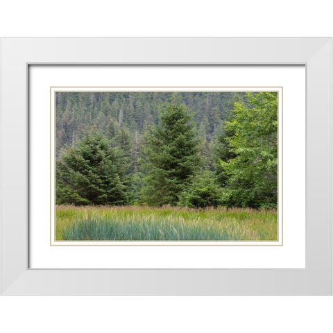 Alaska-Tongass National Forest Meadow and forest landscape  White Modern Wood Framed Art Print with Double Matting by Jaynes Gallery