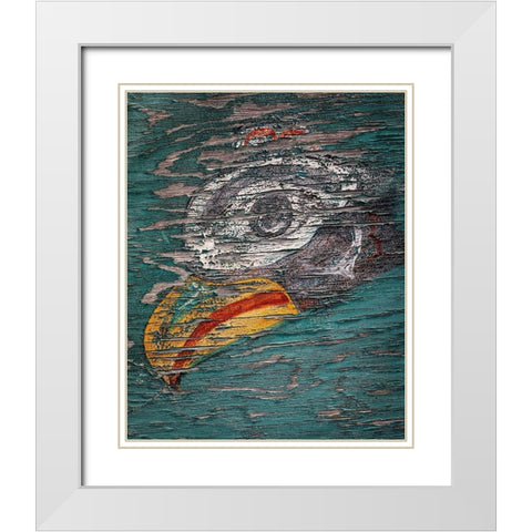 Alaska-Pelican Weathered painting of bird head  White Modern Wood Framed Art Print with Double Matting by Jaynes Gallery