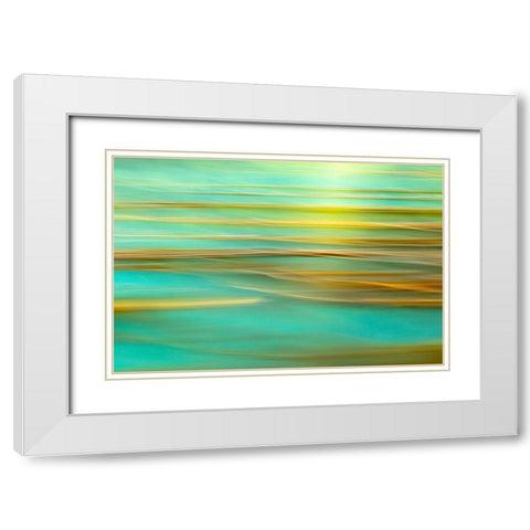Alaska-Inian Islands Abstract of kelp in motion  White Modern Wood Framed Art Print with Double Matting by Jaynes Gallery
