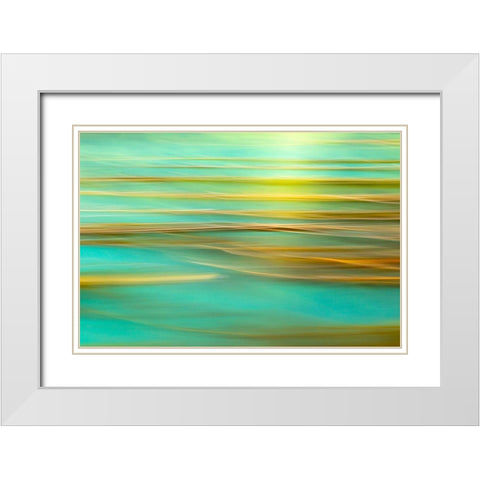 Alaska-Inian Islands Abstract of kelp in motion  White Modern Wood Framed Art Print with Double Matting by Jaynes Gallery