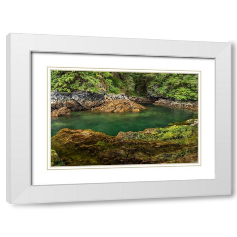 Alaska-Chichagof Island Basket Creek scenic  White Modern Wood Framed Art Print with Double Matting by Jaynes Gallery