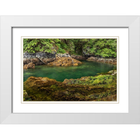 Alaska-Chichagof Island Basket Creek scenic  White Modern Wood Framed Art Print with Double Matting by Jaynes Gallery