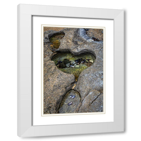 Alaska-Chichagof Island-Basket Bay Heart-shaped pool in rock  White Modern Wood Framed Art Print with Double Matting by Jaynes Gallery
