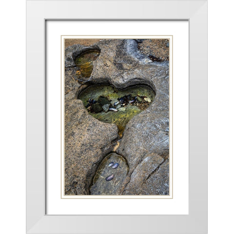 Alaska-Chichagof Island-Basket Bay Heart-shaped pool in rock  White Modern Wood Framed Art Print with Double Matting by Jaynes Gallery