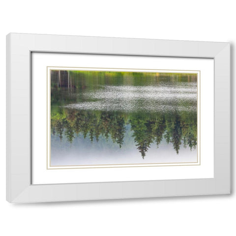 Alaska-Sitka Forest reflection in Swan Lake  White Modern Wood Framed Art Print with Double Matting by Jaynes Gallery