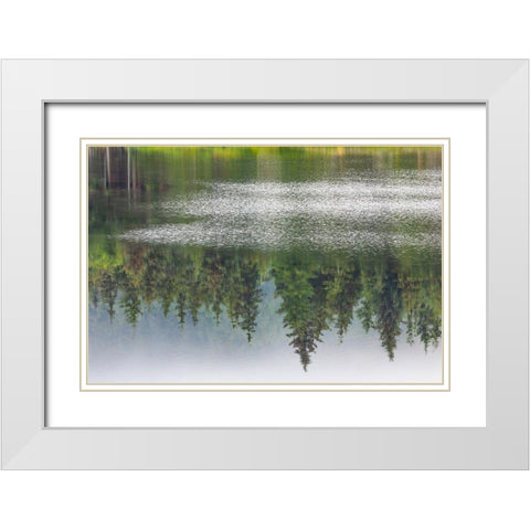 Alaska-Sitka Forest reflection in Swan Lake  White Modern Wood Framed Art Print with Double Matting by Jaynes Gallery