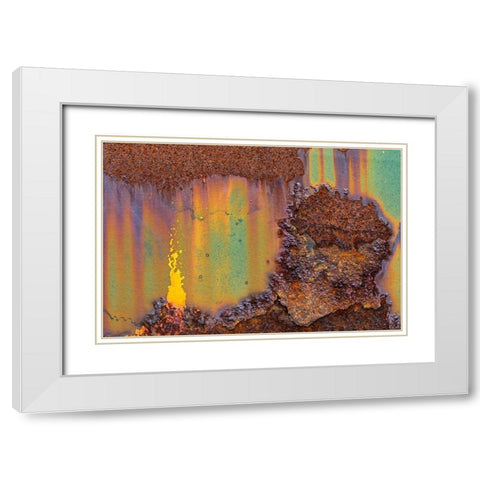 Alaska-Tongass National Forest Rusted metal from an abandoned gold mine  White Modern Wood Framed Art Print with Double Matting by Jaynes Gallery
