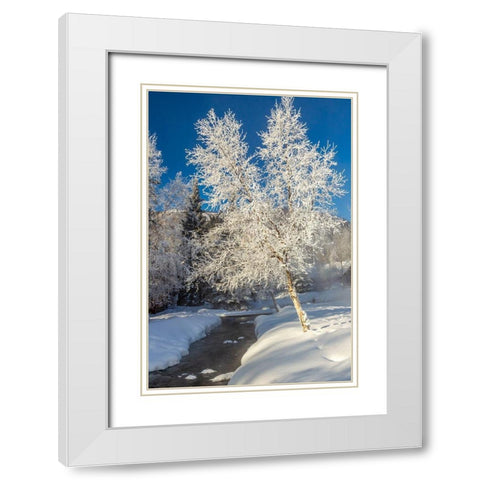 Alaska Stream and frosted trees in winter White Modern Wood Framed Art Print with Double Matting by Jaynes Gallery