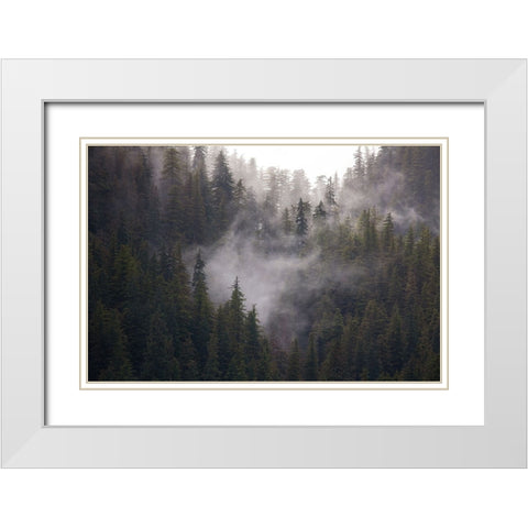 Usa-Alaska Wisps of fog dance among trees in this Alaska rainforest scene on Admiralty Island White Modern Wood Framed Art Print with Double Matting by Sederquist, Betty