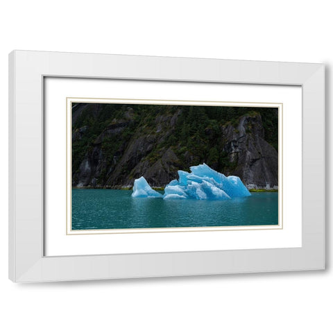 Usa-Alaska This perfect iceberg floats in the blue waters of Endicott Arm White Modern Wood Framed Art Print with Double Matting by Sederquist, Betty