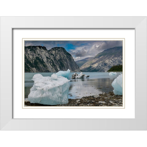 Beached icebergs from nearby McBride Glacier sit on a Muir Inlet beach. White Modern Wood Framed Art Print with Double Matting by Sederquist, Betty