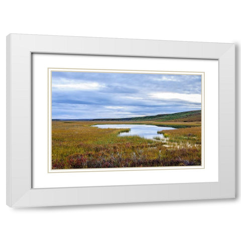 USA- Alaska- Noatak National Preserve. Wetlands in the arctic tundra. White Modern Wood Framed Art Print with Double Matting by Norrsell, Fredrik