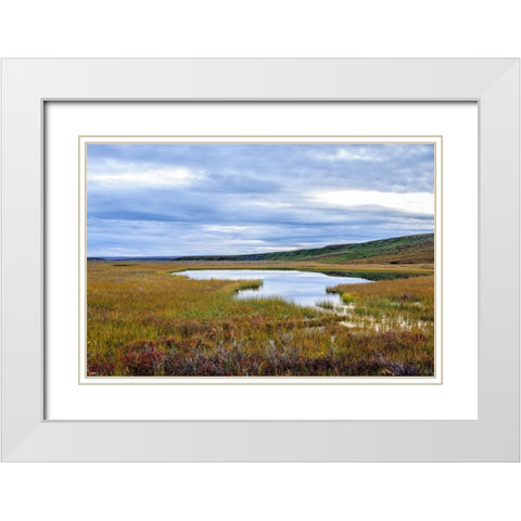 USA- Alaska- Noatak National Preserve. Wetlands in the arctic tundra. White Modern Wood Framed Art Print with Double Matting by Norrsell, Fredrik