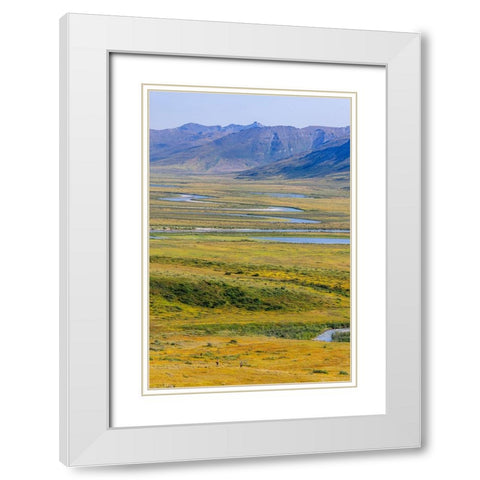 USA- Alaska- Gates of the Arctic National Park- Noatak River. Oxbow bends on the upper river. White Modern Wood Framed Art Print with Double Matting by Norrsell, Fredrik