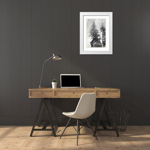 Alaska- Kenai Peninsula. Black and white image of pine tree on a monolith. White Modern Wood Framed Art Print with Double Matting by Muir, Janet