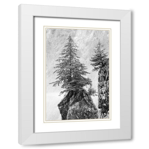 Alaska- Kenai Peninsula. Black and white image of pine tree on a monolith. White Modern Wood Framed Art Print with Double Matting by Muir, Janet