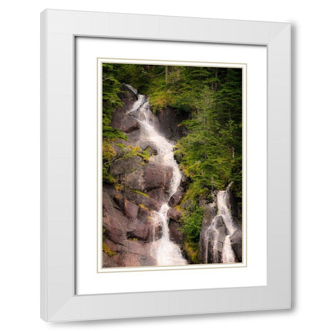 Kenai Peninsula. Two waterfalls surrounded by pine trees White Modern Wood Framed Art Print with Double Matting by Muir, Janet