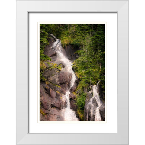Kenai Peninsula. Two waterfalls surrounded by pine trees White Modern Wood Framed Art Print with Double Matting by Muir, Janet