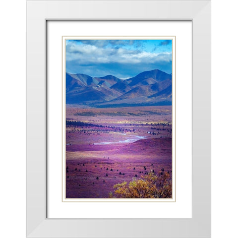 Alaska- Denali National Park. Autumn landscape of valley and mountains. White Modern Wood Framed Art Print with Double Matting by Muir, Janet