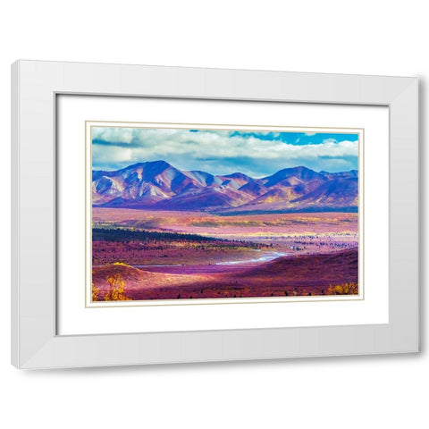 Alaska- Denali National Park. Autumn landscape of valley and mountains. White Modern Wood Framed Art Print with Double Matting by Muir, Janet