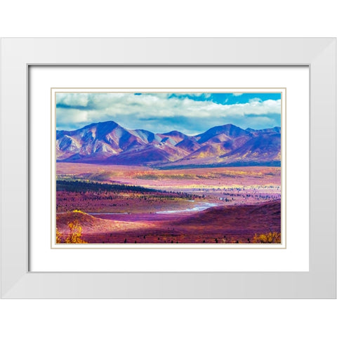 Alaska- Denali National Park. Autumn landscape of valley and mountains. White Modern Wood Framed Art Print with Double Matting by Muir, Janet