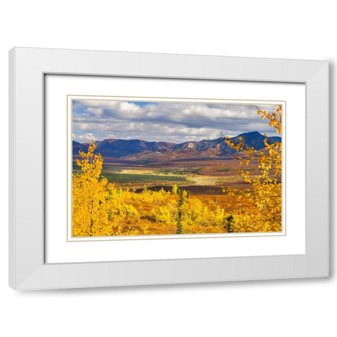 Alaska- Denali National Park. Golden landscape of valley and mountains. White Modern Wood Framed Art Print with Double Matting by Muir, Janet