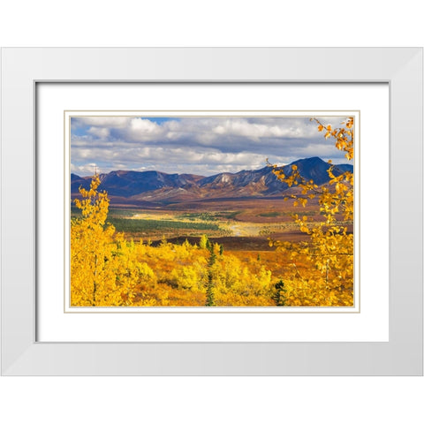 Alaska- Denali National Park. Golden landscape of valley and mountains. White Modern Wood Framed Art Print with Double Matting by Muir, Janet