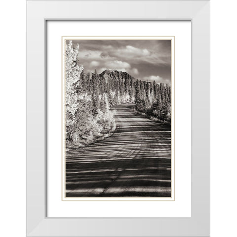 Alaska- Denali National Park. Road winding through Denali. White Modern Wood Framed Art Print with Double Matting by Muir, Janet