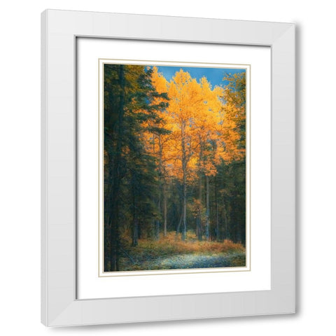 Alaska- Denali National Park. Fall landscape highlighting orange aspen tree.. White Modern Wood Framed Art Print with Double Matting by Muir, Janet