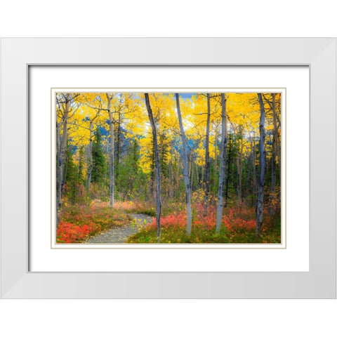Alaska- Denali National Park. Path along a colorful fall landscape. White Modern Wood Framed Art Print with Double Matting by Muir, Janet